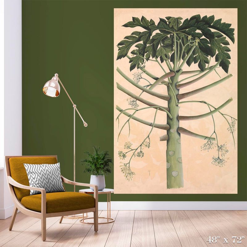 Papaya Tree Colossal Art Print