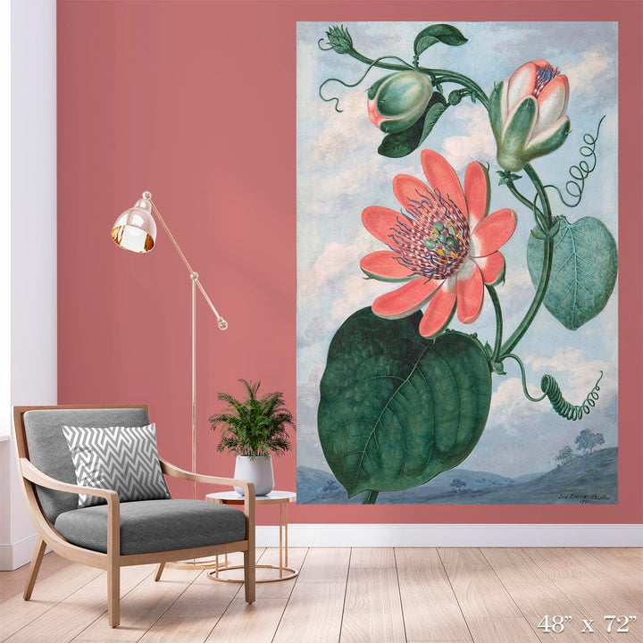 Passion Flower Colossal Art Print
