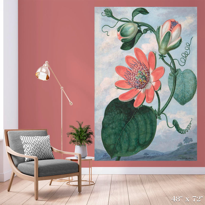 Passion Flower Colossal Art Print