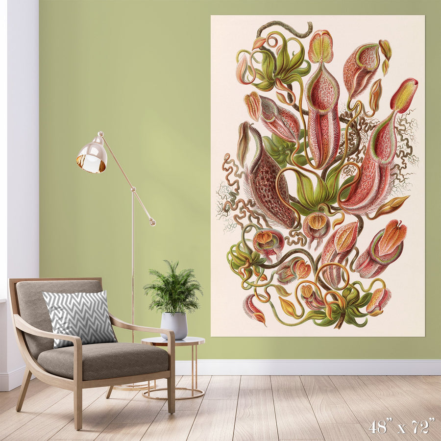 Pitcher Plant Study Colossal Art Print - Trendy Custom Wallpaper | Contemporary Wallpaper Designs | The Detroit Wallpaper Co.