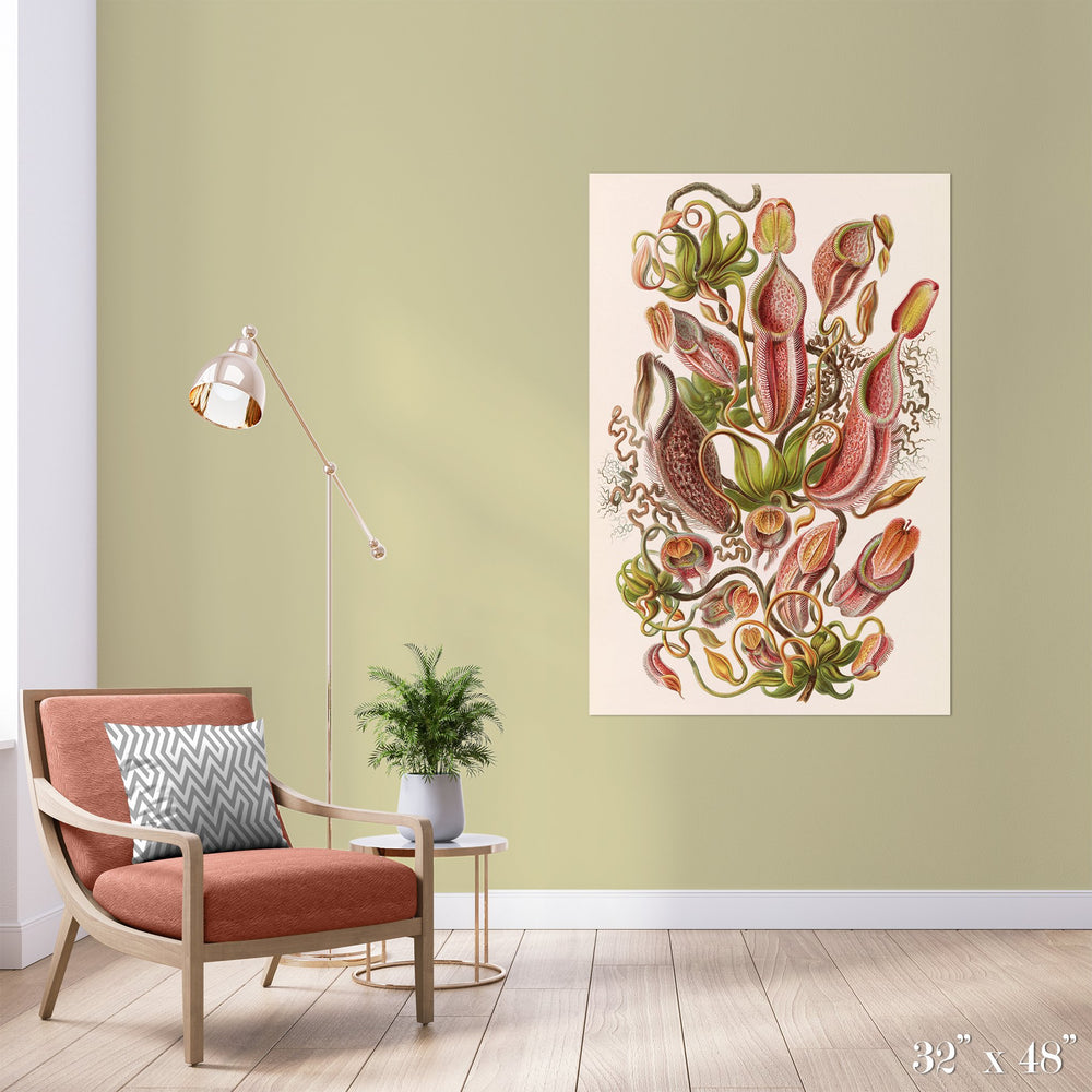Pitcher Plant Study Colossal Art Print - Trendy Custom Wallpaper | Contemporary Wallpaper Designs | The Detroit Wallpaper Co.