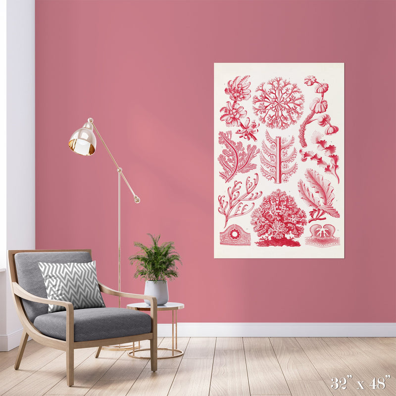 Red Algae Colossal Art Print - Trendy Custom Wallpaper | Contemporary Wallpaper Designs | The Detroit Wallpaper Co.