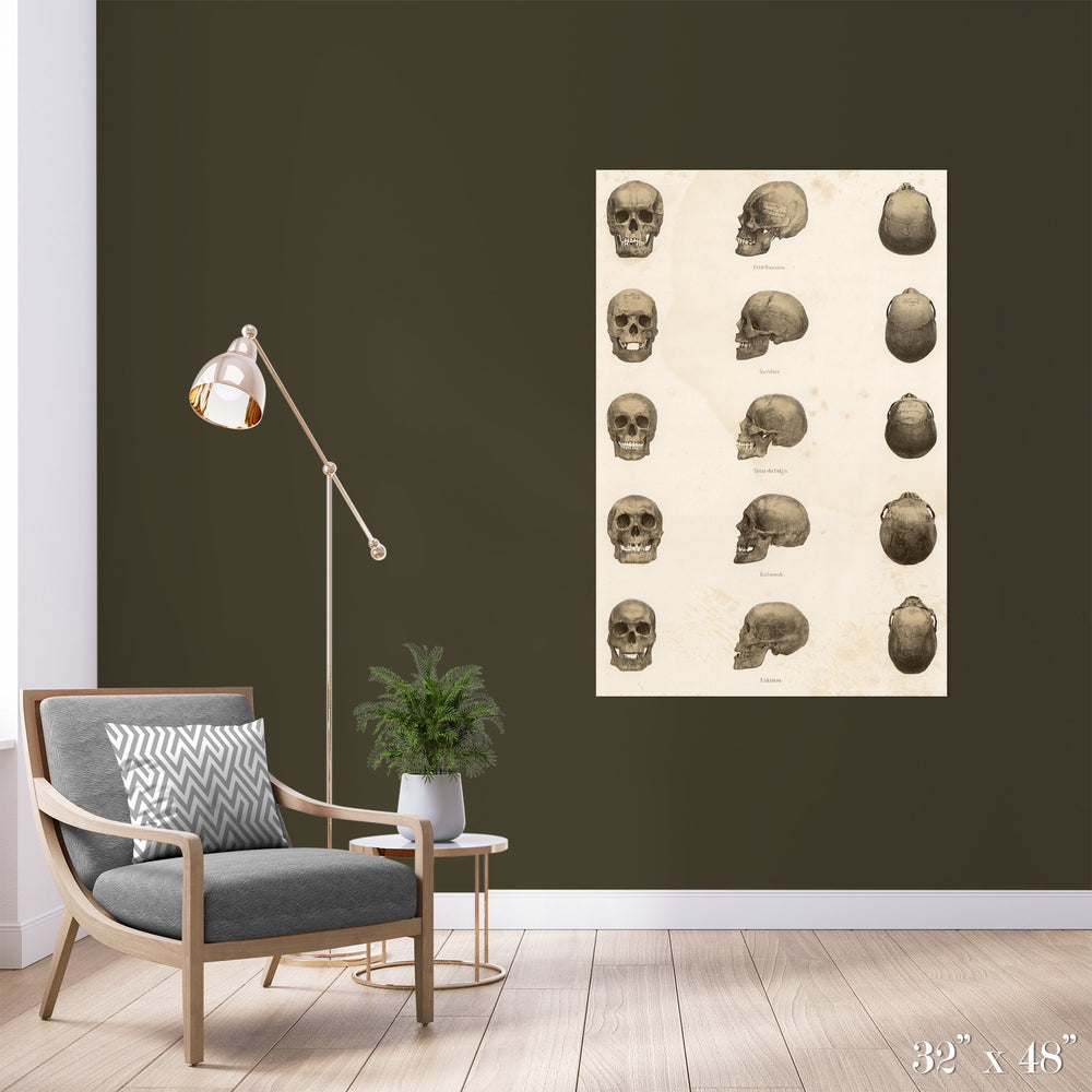 Skulls Colossal Art Print - Trendy Custom Wallpaper | Contemporary Wallpaper Designs | The Detroit Wallpaper Co.