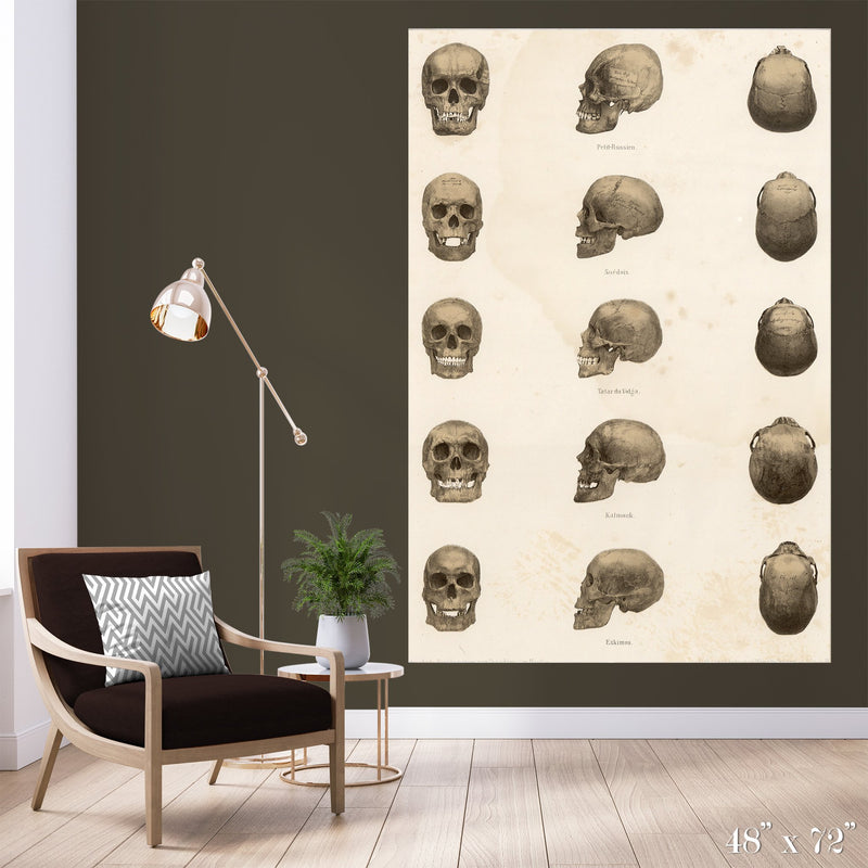 Skulls Colossal Art Print - Trendy Custom Wallpaper | Contemporary Wallpaper Designs | The Detroit Wallpaper Co.