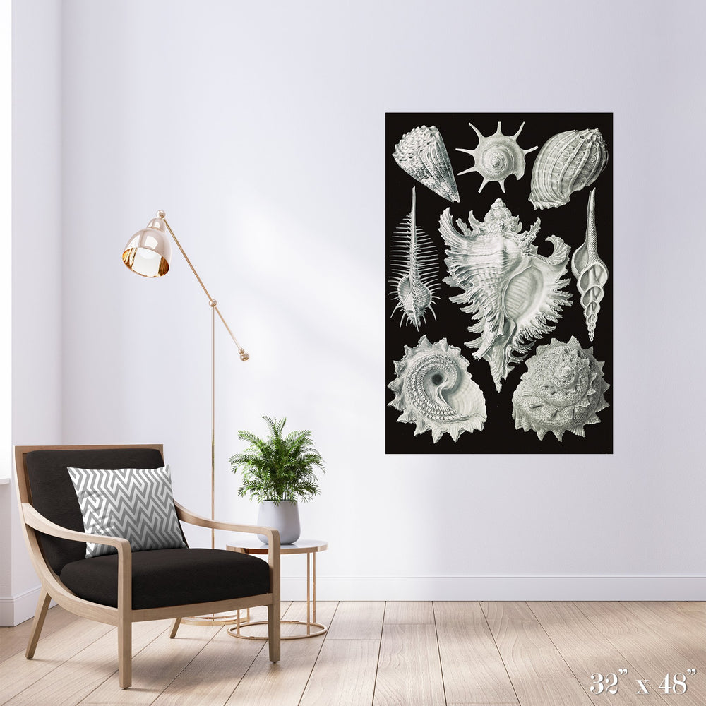 Snail Shells Colossal Art Print - Trendy Custom Wallpaper | Contemporary Wallpaper Designs | The Detroit Wallpaper Co.