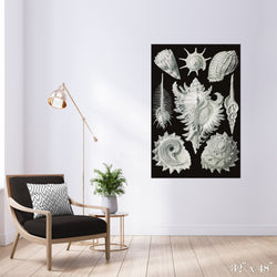 Snail Shells Colossal Art Print - Trendy Custom Wallpaper | Contemporary Wallpaper Designs | The Detroit Wallpaper Co.
