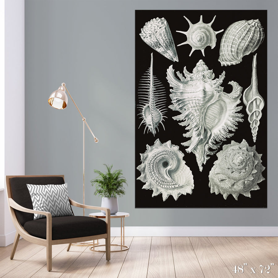Snail Shells Colossal Art Print - Trendy Custom Wallpaper | Contemporary Wallpaper Designs | The Detroit Wallpaper Co.