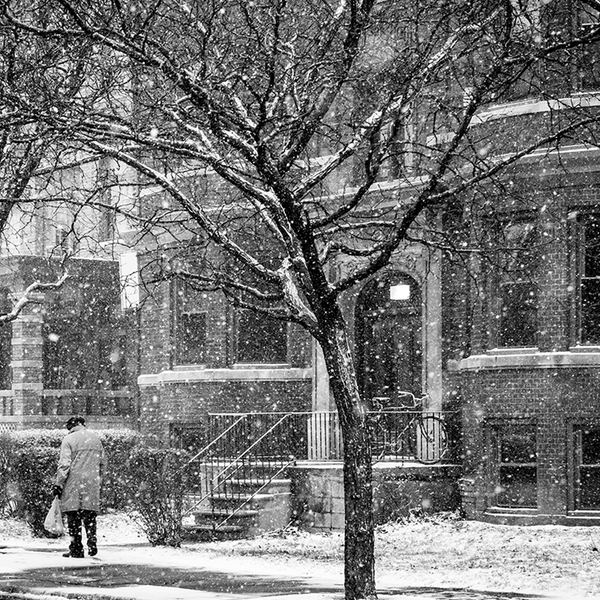 Snow Day <br> Amy Sacka Photography - The Detroit Wallpaper Co.