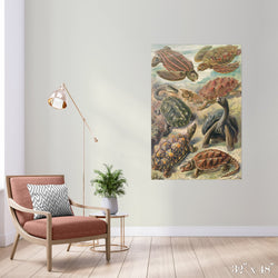 Tortoise Study Colossal Art Print - Trendy Custom Wallpaper | Contemporary Wallpaper Designs | The Detroit Wallpaper Co.