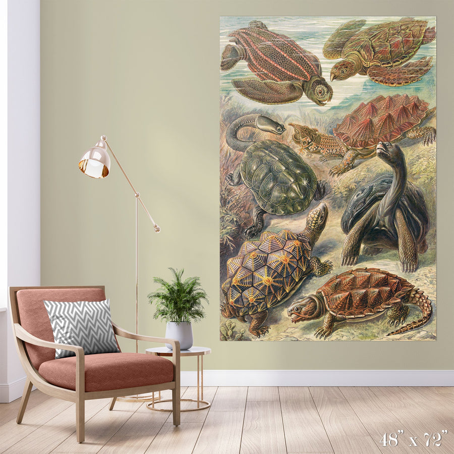 Tortoise Study Colossal Art Print - Trendy Custom Wallpaper | Contemporary Wallpaper Designs | The Detroit Wallpaper Co.