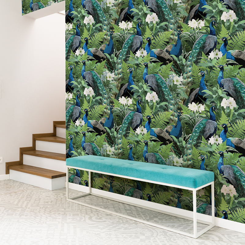 HD wallpaper: india, nature, goa, beach, tropical climate, palm tree, plant  | Wallpaper Flare