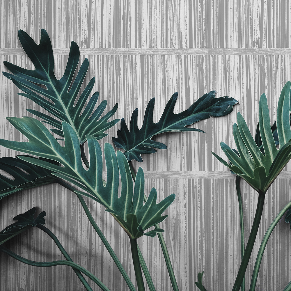 Record Shelf - Loop - Trendy Custom Wallpaper | Contemporary Wallpaper Designs | The Detroit Wallpaper Co.