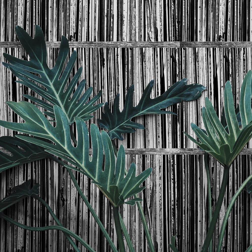 Record Shelf - Print - Trendy Custom Wallpaper | Contemporary Wallpaper Designs | The Detroit Wallpaper Co.